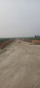 Bihta