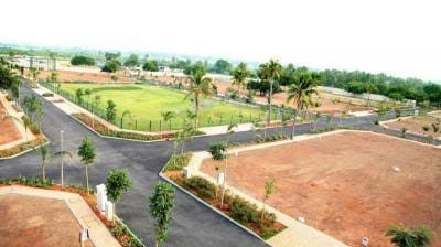 Residential Plot For Sell Near Iit College, Bihta. 